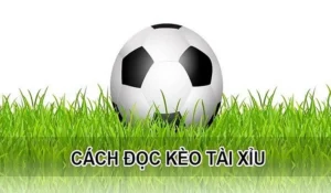 Hướng Dẫn Cách Chơi Kèo Tài Xỉu Đảm Bảo Tỷ Lệ Thắng Cao