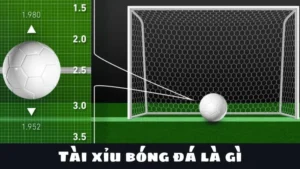 Cách Chơi Kèo Tài Xỉu Bóng Đá Đọc Đâu Thắng Đó Cực Dễ