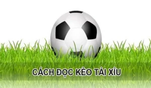 Bí Quyết Chinh Phục Cách Chơi Kèo Tài Xỉu Hiệp 1 Hiệu Quả Nhất